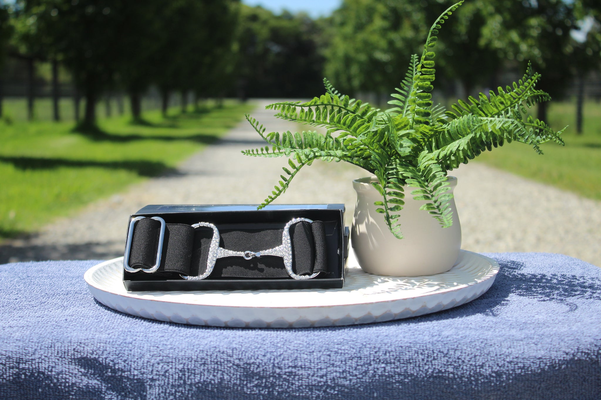 Apsley Black/Silver Diamanté elastic snaffle belt 2 inch