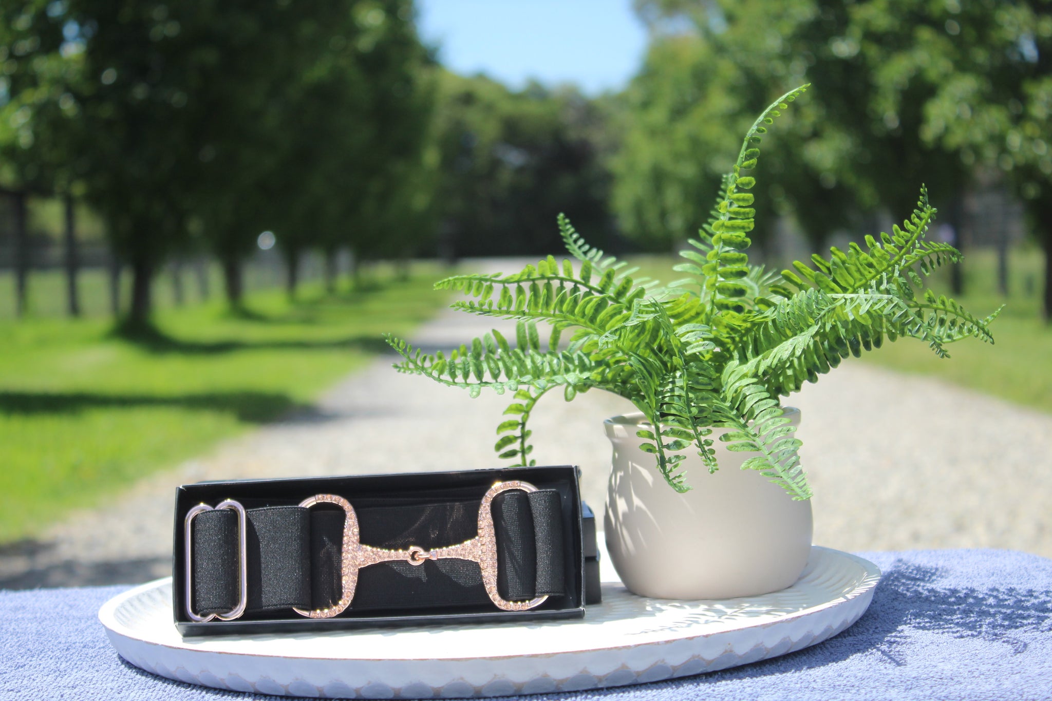 Apsley Black/Gold Diamanté elastic snaffle belt 2 inch