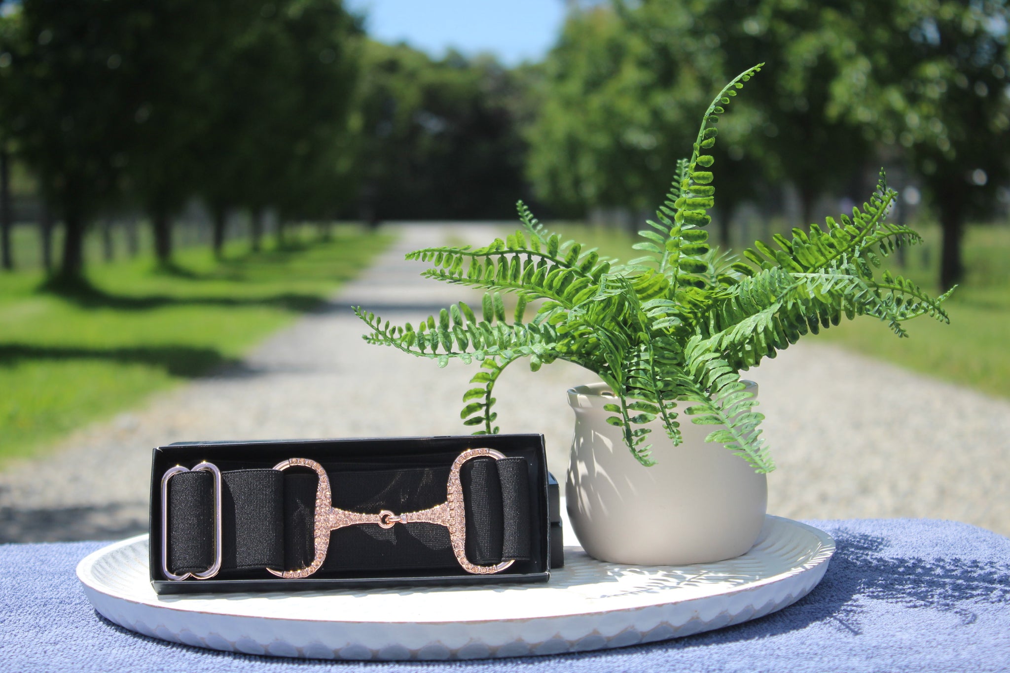 Apsley Black/Rose Gold Diamanté elastic snaffle belt 2 inch