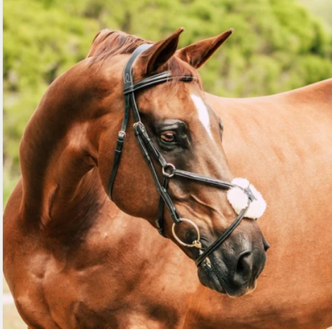 'AVA' Italian Leather Grackle Bridle - Standard Leather **NO REINS**