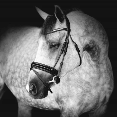 'AURELIE' Italian Leather  Bridle  (Hanoverian) - Black